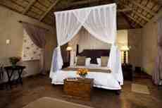 Latest Special Offer from Amakhala Hlosi Game Lodge