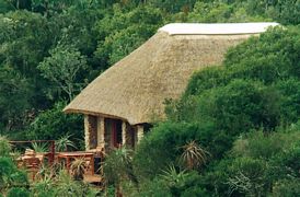 Latest Special Offer from Amakhala Woodbury Lodge Latest Special Offer from Amakhala Woodbury Lodge